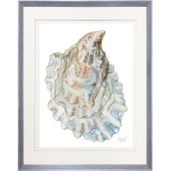 KS- OYSTER SHELL 12 (0S)